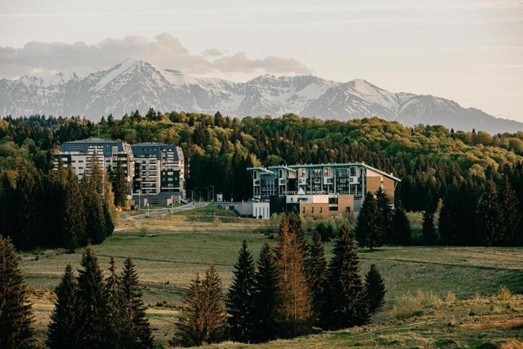 Edelweiss Apartments Silver Resort Пояна-Брашов Экстерьер фото